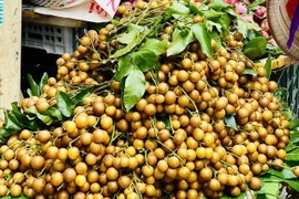 Loại quả 'nhỏ mà có võ' giúp tăng đề kháng, dưỡng da tươi trẻ