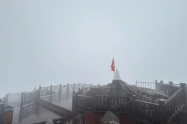 Fansipan rét -3 độ C, băng giá phủ trắng 'nóc nhà Đông Dương'