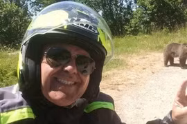 Chụp ảnh với gấu hoang, du khách nhận cái kết không ngờ