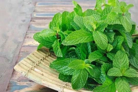 Loại rau ăn mát lạnh, bổ hơn sữa, tốt cho sức khỏe