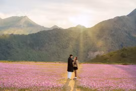 Mùa hoa cánh bướm ở Tà Xùa, lựa chọn mới cho du khách mê thiên nhiên