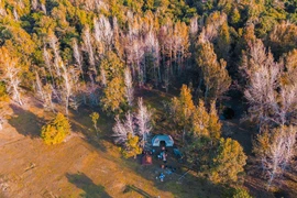 Ảnh Jungle Boss Tours