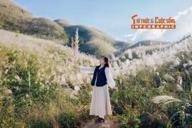 [INFOGRAPHIC] Bình Liêu mùa lau trắng