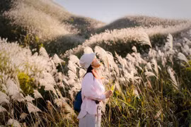 ‘Săn’ cỏ lau Bình Liêu, chọn tour nào để tận hưởng cảnh sắc tuyệt đẹp