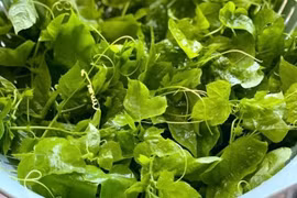 Bí quyết cải thiện mất ngủ bằng rau lạc tiên an toàn, lành tính