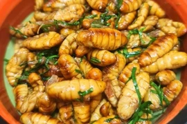 Gợi ý 7 cách chế biến món nhộng tằm khiến dân nhậu mê mẩn