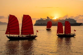 Vì sao thuyền buồm đỏ ven vịnh Hạ Long phải tạm ngưng sau thời gian gây sốt?