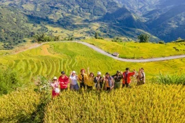 Gợi ý điểm đến mùa thu phù hợp cho chuyến đi gia đình