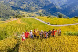 Gợi ý điểm đến mùa thu phù hợp cho chuyến đi gia đình