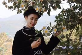 Không ít du khách kết hợp thăm các điểm đến nổi bật như sống lưng khủng long, đường tuần tra biên giới, thác Khe Vằn hay dạo chợ phiên trong sương sớm. Hành trình khám phá Bình Liêu mùa hoa sở vì thế không chỉ khép lại bằng khung cảnh mộng mị của rừng hoa, mà còn đọng lại trong ký ức về một miền văn hóa đậm đà bản sắc. Ảnh Báo Vietnamnet