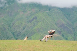 Tránh nóng ngày hè, lên Tà Xùa tận hưởng thiên nhiên xanh
