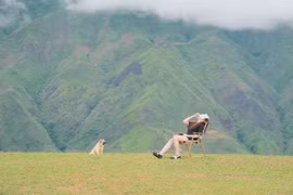 Tránh nóng ngày hè, lên Tà Xùa tận hưởng thiên nhiên xanh