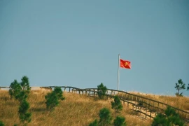 Ngỡ ngàng trước những đồi cỏ cháy đẹp mê hoặc ở Quảng Ninh