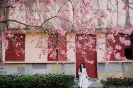 Khách Việt chuộng Đà Lạt du xuân Tết, Nhật Bản dẫn đầu tour xuất ngoại