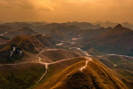 Hạ Lang mùa thu hút du khách bởi sắc vàng cỏ cháy rực rỡ