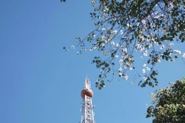 Đà Lạt mùa hoa ban trắng, gợi ý những cung đường nên ghé