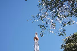 Đà Lạt mùa hoa ban trắng, gợi ý những cung đường nên ghé