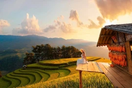 Đồi Móng Ngựa 'toạ độ' ngắm mùa lúa chín siêu thực ở Mù Cang Chải