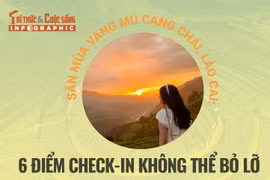 [Infographic] Săn mùa vàng Mù Cang Chải 6 điểm checkin không thể bỏ lỡ