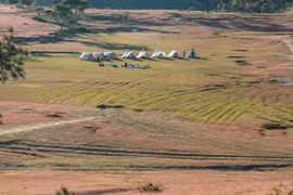 Trải nghiệm săn bình minh, cắm trại trên thiên đường cỏ hồng Masara