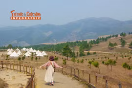 [INFOGRAPHIC] Đỉnh Phượng Hoàng mùa cỏ cháy vàng rực