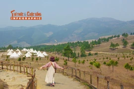 [INFOGRAPHIC] Đỉnh Phượng Hoàng mùa cỏ cháy vàng rực