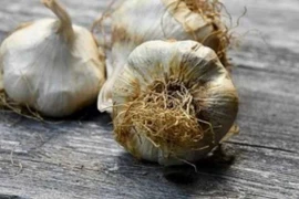 Loại tỏi tưởng vô hại nhưng có thể ảnh hưởng tiêu hóa, hại gan 