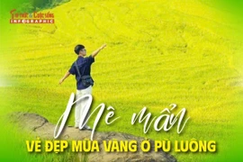 Mê mẩn vẻ đẹp mùa vàng ở Pù Luông 
