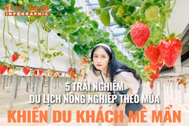 [INFOGRAPHIC] 5 trải nghiệm du lịch nông nghiệp khiến du khách mê mẩn