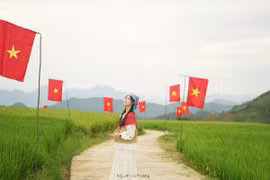 Đồng lúa bạt ngàn nhuộm cờ đỏ sao vàng, điểm sống ảo mới gần Hà Nội