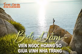 Bích Đầm viên ngọc hoang sơ giữa vịnh Nha Trang