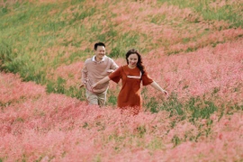 Đa dạng tour Đà Lạt, chọn gói nào "xuống tiền"?