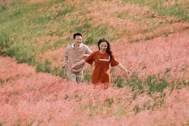 Đa dạng tour Đà Lạt, chọn gói nào "xuống tiền"?