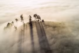 Từ đỉnh Đồi Thiên Phúc Đức, thung lũng dưới chân hiện ra như một bức tranh sương mù huyền ảo. Khi mặt trời lên cao, ánh sáng mạnh mẽ chiếu qua những tầng mây, tạo thành các cột sáng thẳng tắp rọi xuống mặt đất. Ảnh Trần Quang Anh