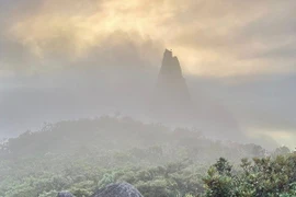 Trekking đỉnh Chư Mư ngắm hòn Vọng Phu, tự túc hay đi tour?