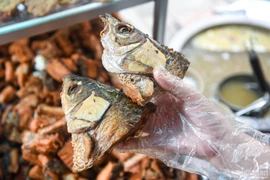 3 bộ phận bẩn nhất trên cá, nhiều người vẫn ăn tưởng bổ