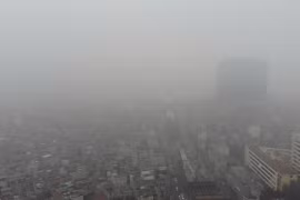 Ăn gì bổ phổi, giảm tác hại của ô nhiễm không khí?