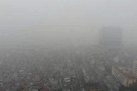 Ăn gì bổ phổi, giảm tác hại của ô nhiễm không khí?