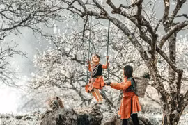 Với sự đa dạng khí hậu, cảnh quan và văn hóa, Việt Nam luôn chào đón du khách quanh năm. Chọn đúng thời điểm giúp chuyến đi thêm trọn vẹn, từ biển xanh, núi cao đến những lễ hội đậm bản sắc địa phương. Ảnh MIA