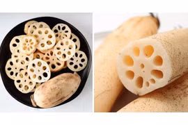 Củ sen 7 lỗ và 9 lỗ loại nào bổ dưỡng hơn?