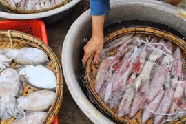 Một mặt hàng biển bất ngờ 'bùng nổ', Hàn Quốc chi gần 42 triệu USD nhập khẩu