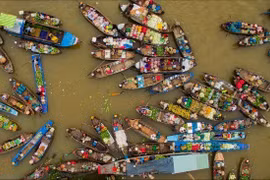 Đi chợ nổi Cái Răng nên đi tour sáng sớm hay tour ăn trưa?