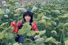 Ghé thăm cánh đồng cà rốt nở hoa giữa cao nguyên Lâm Đồng