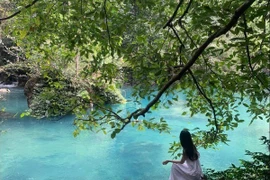 Suối Lê Nin "viên ngọc xanh" say lòng du khách giữa núi rừng Pác Bó