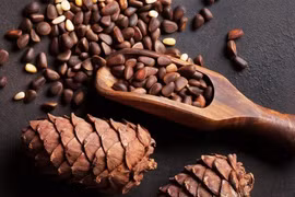 Lợi ích bất ngờ của hạt thông đối với sức khỏe