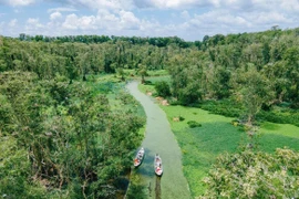 Du lịch miền Tây mùa nước nổi, những trải nghiệm không thể bỏ lỡ