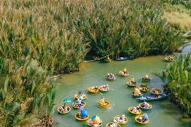 Rừng dừa Bảy Mẫu có gì mà hút hồn du khách gần xa?