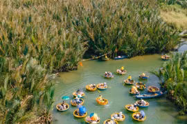 Rừng dừa Bảy Mẫu có gì mà hút hồn du khách gần xa?