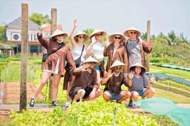 Chỉ cách phố cổ Hội An vài cây số, Trà Quế nổi tiếng với các vườn rau hữu cơ lâu đời. Đến đây, du khách có thể đạp xe qua những con đường làng yên ả, tham gia gieo hạt, tưới nước hay thu hoạch rau trực tiếp từ vườn.