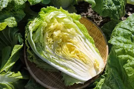 5 thực phẩm 'ăn no vẫn gọn dáng', số 2 nhiều người đang bỏ qua